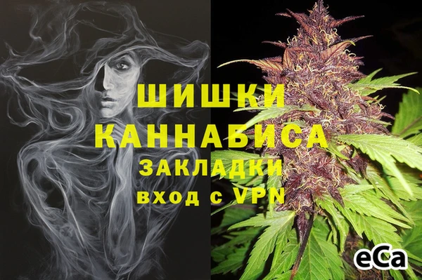 ПСИЛОЦИБИНОВЫЕ ГРИБЫ Пересвет