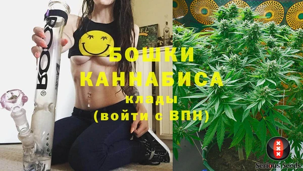 тгк Переславль-Залесский