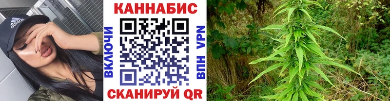 сколько стоит  кракен зеркало  мориарти клад  Сосенский  Бошки марихуана VHQ 